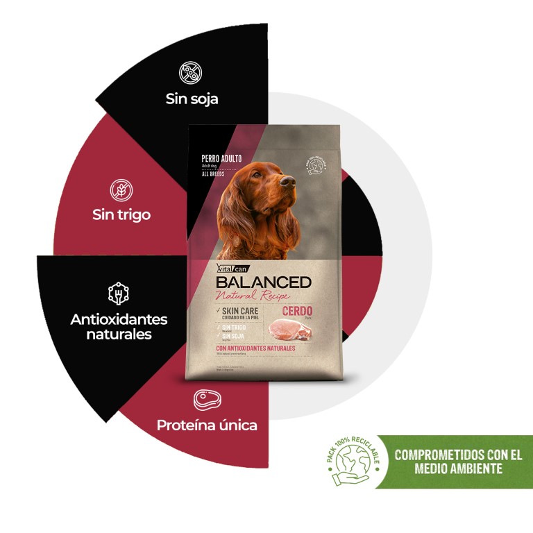 Vitalcan Balanced Natural Recipe El Lanzamiento Que Mejor Cuida A Tu Perro