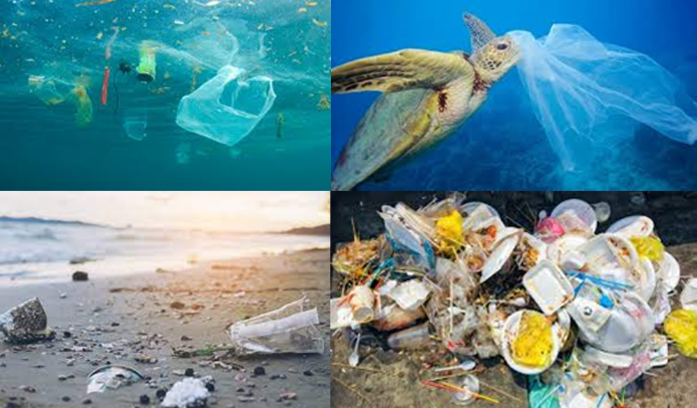 El daño ambiental que provocan las bolsas plásticas - Cada Momento